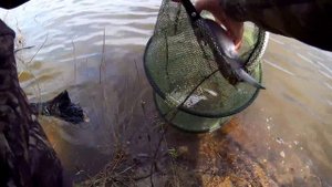 Рыбалка в МАЕ Ока  донки природа рыба ЛЕЩ, ОКУНЬ...