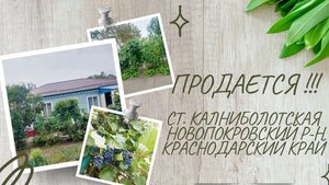 ст.Калниболотская,Новопокровский р-н,Краснодарский край