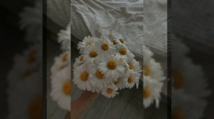 валя карнавал – частушка 
speed up💋