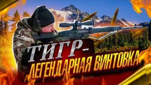 Обзор  Легендарной винтовки Тигр.