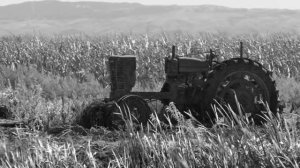 The Highwaymen - American Remains