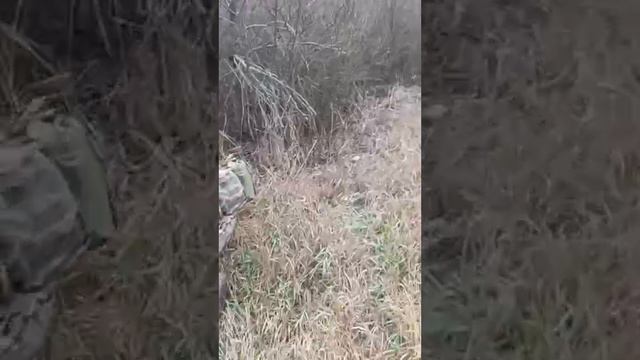 24.12.2023г Если будешь помнить, за что ты борешься, ты никогда не промахнешься. Воин признаёт, что