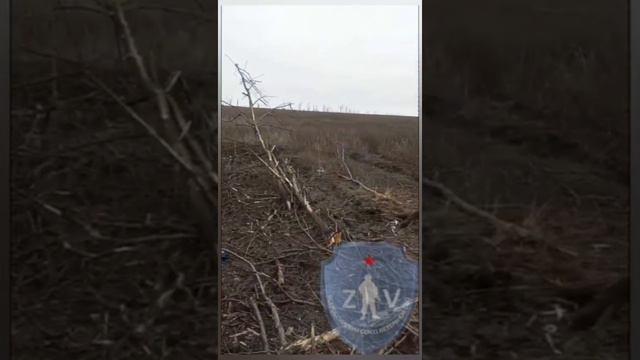 Запорожский фронт Работино. 8.12.2023г Бойцы нашего
 71 гвардейского мотострелково взяли танк