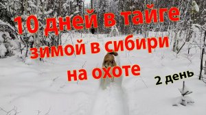 10 дней в тайге зимой на охоте в Сибири 2 день
