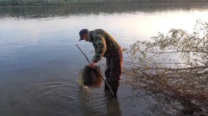 КОТУ РАКОВ НАЛОВИЛИ!