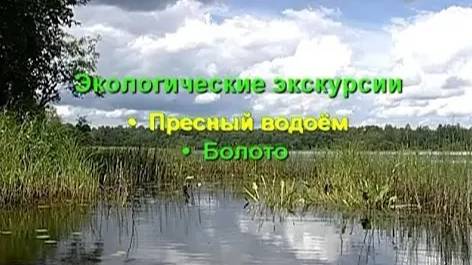 Пресный водоем. Болота