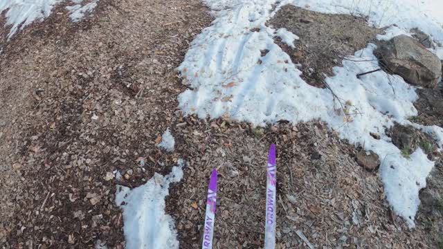 Лыжи с НАСЕЧКАМИ!  Закрытие сезона.  30.03.2024 г.