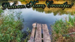 РЫБАЛКА🐟ПОПЛАВОК! РЫБАЧИМ СО СТАРЫХ ДЕДОВСКИХ МОСТКОВ!