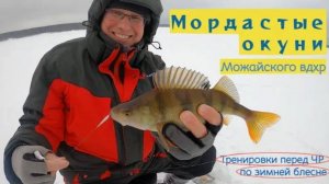 Мордастые окуни Можайки на тренировках перед Чемпионатом России по блесне