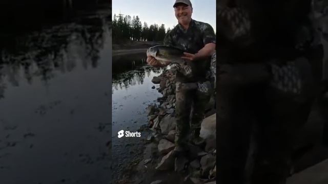 This is the longest fight i have seen with a bass!!! *heres how it went*