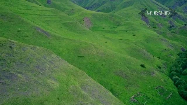 Межиев Салахь - Деле гечдар деха! Тоба де! смотреть онлайн