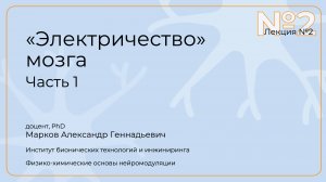Александр Марков. Лекция 2. "Электричество мозга." Часть 1