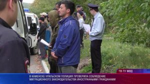 Облава на мигрантов