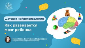 Как развивается мозг ребенка. Сензитивные периоды