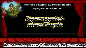 Укрытие персиков - советы Железова.