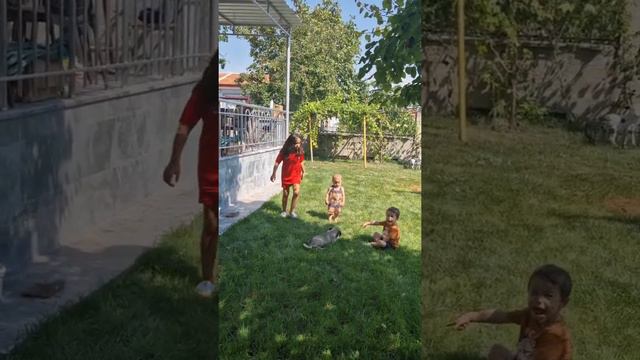 TAHA VE ILYAZ HALIL GUMUSTEKIN смотреть онлайн