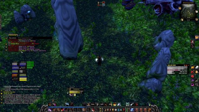 World of Warcraft Classic :  Rogue Leveling / Battlegrounds