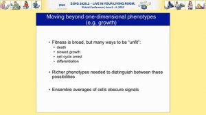 E01.1 Manifold destiny exploring genetic interactions in high dimensions through massively parallel