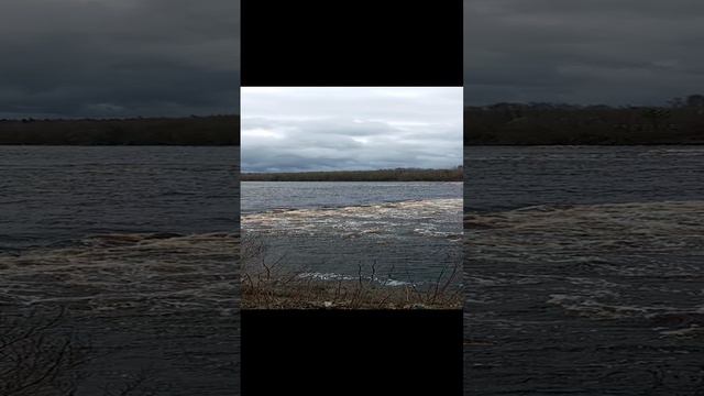 Река Луга. г. Кингисепп.mp4