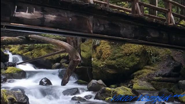 Новая презентация Пiсня сивоi давнини*** смотреть онлайн