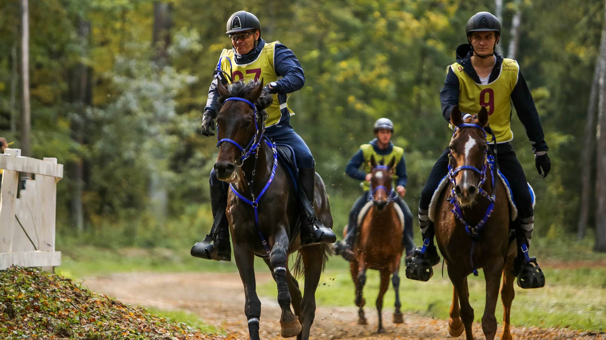 Отрада Endurance Cup 2020. Международные и всероссийские соревнования по конным пробегам.