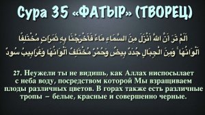 Сура 35 Фатыр (арабские и русские титры) - Мухаммад Люхайдан