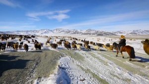 A2_U4_A different kind of journey_Great_Learners_Great_Thinkers_video