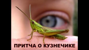 ПРИТЧА О КУЗНЕЧИКЕ