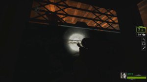 Left 4 Dead 2 - Last Man On Earth - No Damage, No Restarts, Hard Rain (Expert)