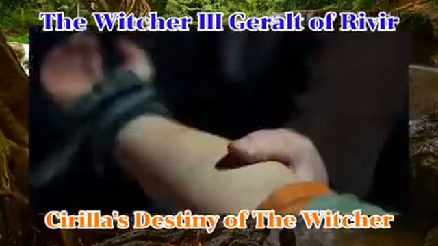 Cirilla's Destiny of The Witcher III Geralt of Rivir