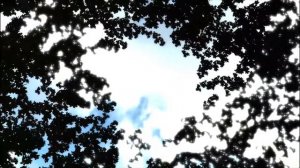 Все катсцены из Метро 2033 (оригинал 2010)