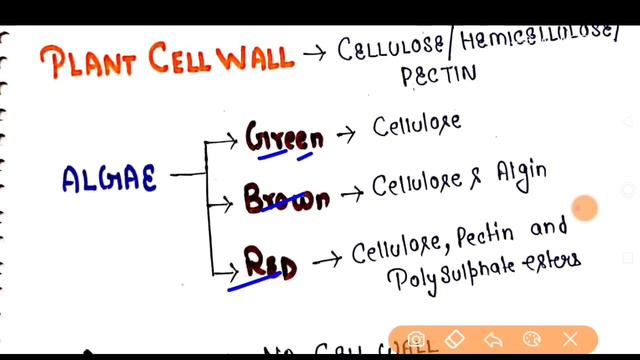 NCERT Biology fast revision - Cell wall is made up of (list) - NEET Last minute revision series