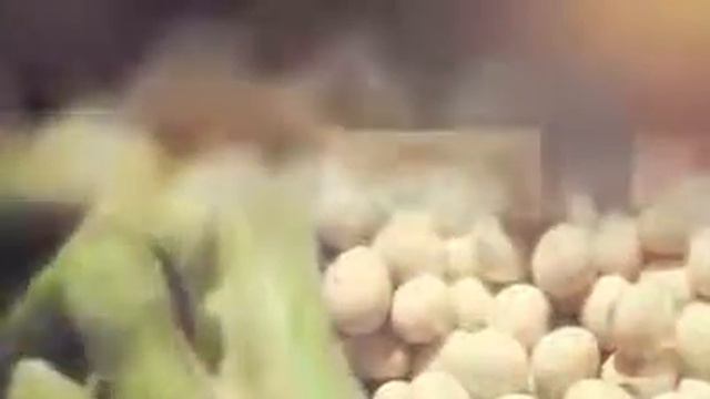 B-shake tu mejor suplemento nutricional смотреть онлайн