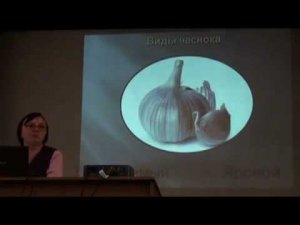 Выращивание чеснока