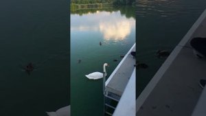 Прогулка у озера! Красота!