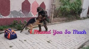 Dog Cry when meet owner after long time I dog Unconditional Love Ifor soldier I Most Loyal dog