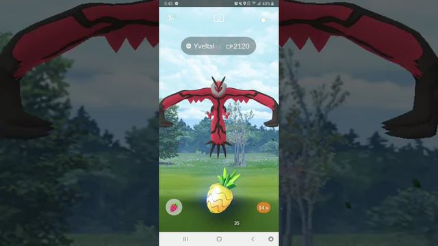 Catching Yveltal on Pokemon Go! смотреть онлайн