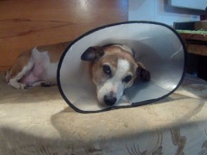 Маленький ролик.