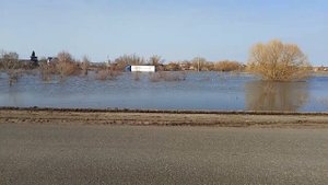 Разлив Большого Иргиза-Пестравка