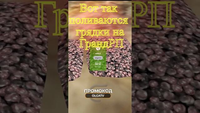 Поливаем грядки))