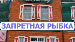 Почему в Переславле-Залесском можно есть краснокнижную рыбу?