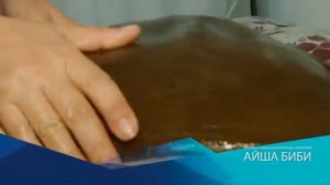 Санаторий Айша Биби Сарыагаш