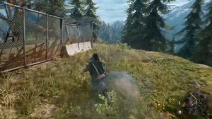 Days Gone rx 580 8gb gaming