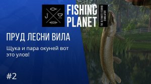 Fishing Planet - ПРОХОЖДЕНИЕ - Ловим на пруду ЛЕСНИ ВИЛА #2