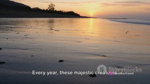 Don't Miss Out! Top 10 Costa Rica Adventures