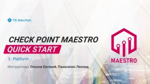 Бесплатный курс Check Point Maestro Quick Start. Урок 3: Platform