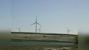 Майская степь 2024