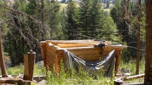 Off Grid Log Cabin Build - Last two logs