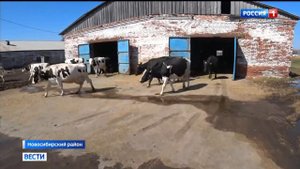 В «Учхозе Тулинское» выводят в поля технику раньше обычного