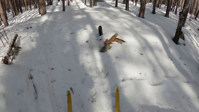 Лыжная прогулка. 27.03.2021 г.